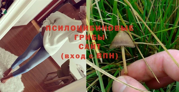 прущая мука Мегион