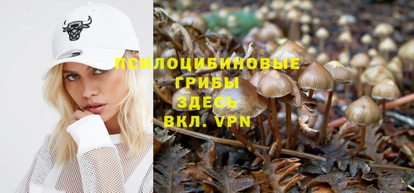 прущая мука Мегион