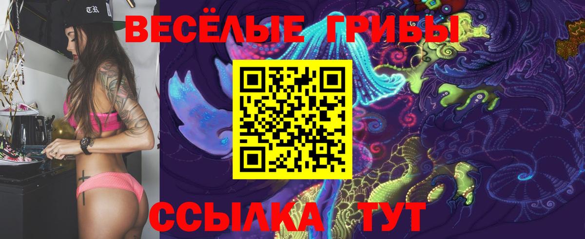 Псилоцибиновые грибы GOLDEN TEACHER  Вход с VPN  Карабулак  Псилоцибиновые грибы Psilocybine cubensis 
