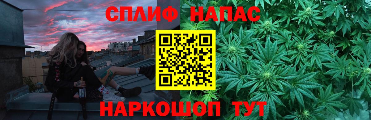 Канабис конопля  Карабулак  Канабис White Widow  Канабис планчик  Конопля семена 